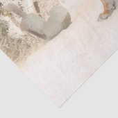 タイガーママとベビーティッシュペーパー 薄葉紙 (詳細)