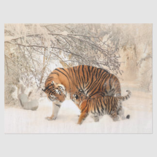 タイガーママとベビーティッシュペーパー 薄葉紙