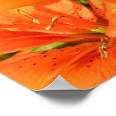 タイガーライリー写真 ポスター (角)