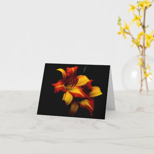 タイガーライリー… カード (黄色い花)