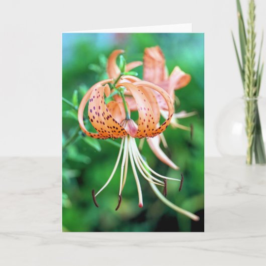 タイガーライリー カード (正面)