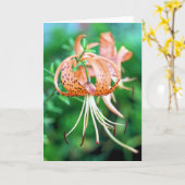 タイガーライリー カード (黄色い花)