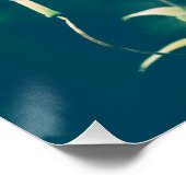 タイガーライリー ポスター (コーナー)