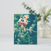 タイガーライリー ポストカード (スタンド正面)