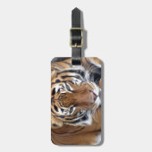 タイガーラゲージタグ ラゲッジタグ (正面縦)