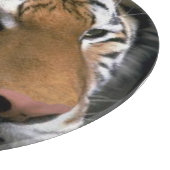 タイガーラバーズアート カッティングボード (角)