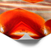 タイガーリリーおもしろい...... ポスター (角)