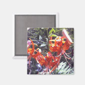 タイガーリリーコレクション マグネット (正面/裏面)