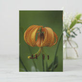 タイガーリリー – フラットグリーティングカード カード (スタンド正面)