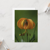 タイガーリリー – フラットグリーティングカード カード (正面/裏面インサイチュ)