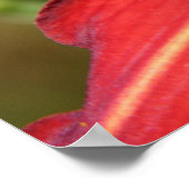 タイガーリリー&フレンド ポスター (角)