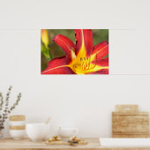 タイガーリリー&フレンド ポスター (キッチン)