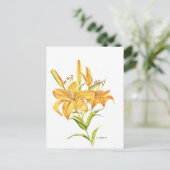 タイガーリリー ポストカード (スタンド正面)