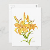 タイガーリリー ポストカード (正面/裏面)