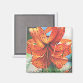 タイガーリリー マグネット (正面/裏面)