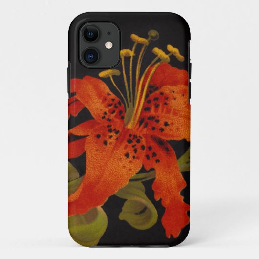 タイガーリリー iPhone 5/5S カバー (裏面)
