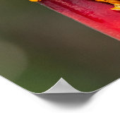 タイガーレッグモンキーツリーフロッググリーンオレンジ ポスター (角)