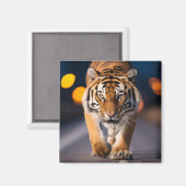 タイガーワイルドライフアニマルオン通りアウトドア マグネット (正面/裏面)