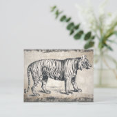 タイガーヴィンテージ野生動物グランジ装飾品 ポストカード (スタンド正面)