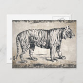 タイガーヴィンテージ野生動物グランジ装飾品 ポストカード (正面/裏面)