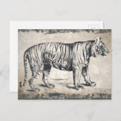 タイガーヴィンテージ野生動物グランジ装飾品 ポストカード (正面/裏面)