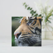 タイガー写真招待状 招待状 (スタンド正面)