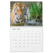 タイガー写真野生動物2025 カレンダー (3月 2027)