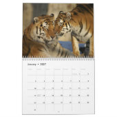 タイガー写真野生動物2025 カレンダー (1月 2027)