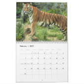 タイガー写真野生動物2025 カレンダー (2月 2027)