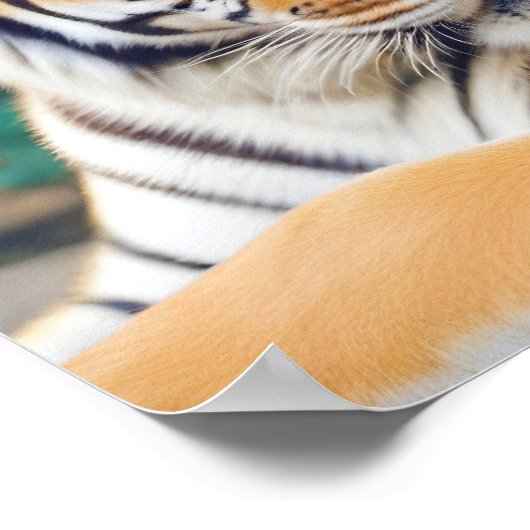 タイガー動物自然野生動物の気に愛情 ポスター (角)