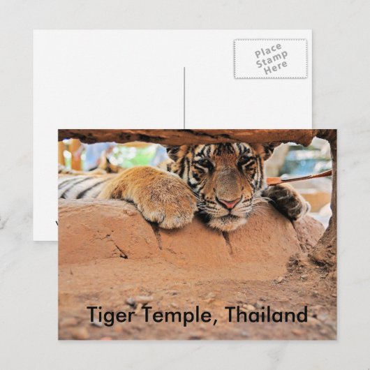 タイガー寺院 ポストカード (正面/裏面)