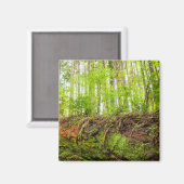 タイガー山 |イサカー、ワシントン州 マグネット (正面/裏面)