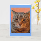 タイガー恋しく思キャット カード (黄色い花)