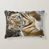 タイガー愛好家 アクセントクッション (正面)