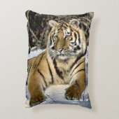 タイガー愛好家 アクセントクッション (裏面(縦))