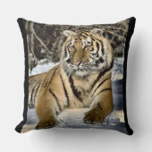 タイガー愛好家 クッション (正面)