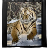 タイガー愛好家 シャワーカーテン (正面)