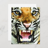 タイガー招待状 招待状 (正面/裏面)