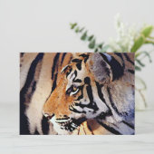 タイガー招待状 招待状 (スタンド正面)