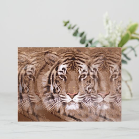 タイガー招待状 招待状 (スタンド正面)