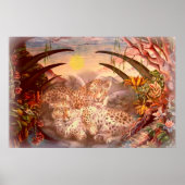 タイガー朝 ポスター (正面)