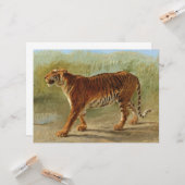 タイガー王室の・マーチング(Rosa Bonheur) カード (正面/裏面インサイチュ)