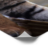 タイガー登山ダウン ポスター (角)