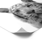 タイガー白黒キャビン子供部屋写真ポスター ポスター (角)