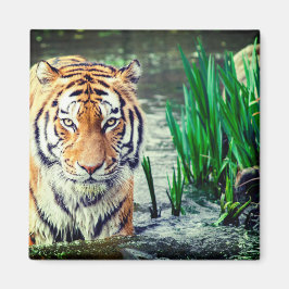 タイガー磁石 マグネット