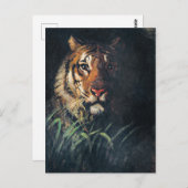 タイガー素晴らしズ・ヘ絵画ッド ポストカード (正面/裏面)