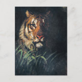 タイガー素晴らしズ・ヘ絵画ッド ポストカード (正面)