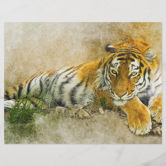 タイガー絵画ズ チラシ (正面)