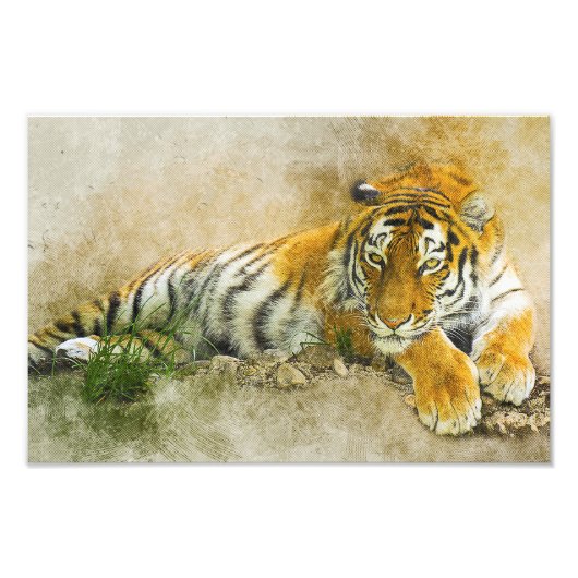 タイガー絵画ズ フォトプリント            (正面)