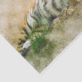 タイガー絵画ズ 薄葉紙 (詳細)